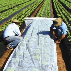 Agrowłókniny, agrotkaniny, folie ogrodnicze