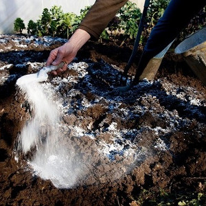 Dolomit i wapno nawozowe