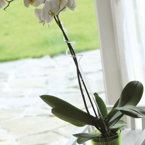 Drabinki i podpory dla roślin