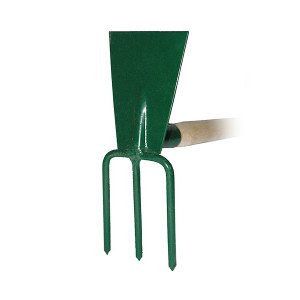 Motyki, motyczki i pazurki