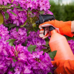 Opryskiwacze i spryskiwacze