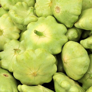 Nasiona patisona