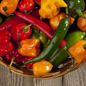 Nawozy do warzyw, owoców i ziół