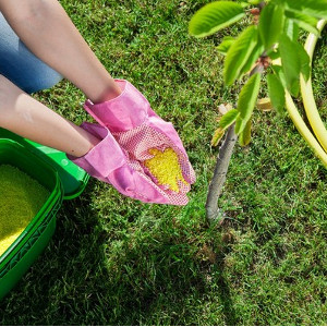 Nawozy do drzew i krzewów