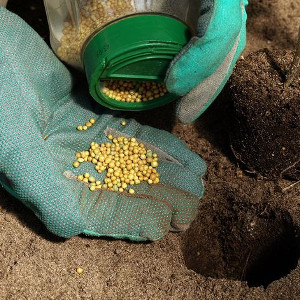 Nawozy długo działające