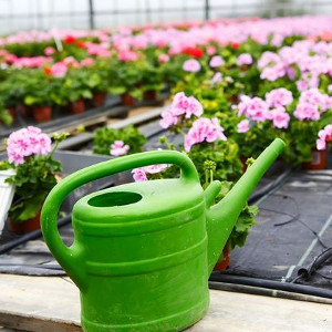 Nawozy rozpuszczalne