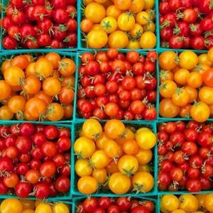 Nawozy do owoców i warzyw